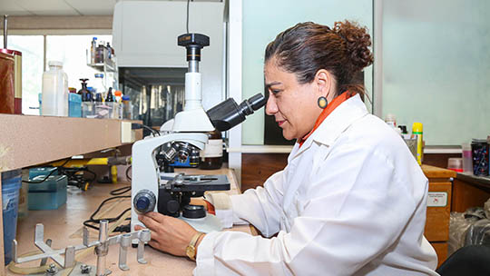 Usa Biología hongo que ayuda a producir plantas saludables en zona árida